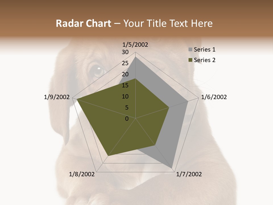 Square Image Brown Young PowerPoint Template