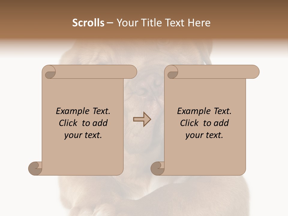 Square Image Brown Young PowerPoint Template
