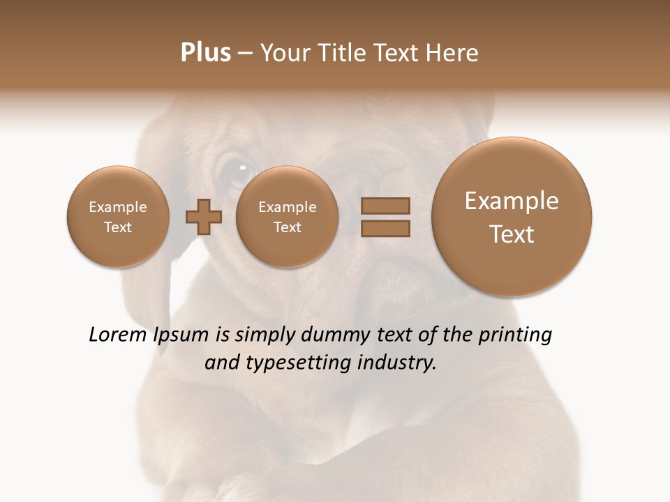 Square Image Brown Young PowerPoint Template