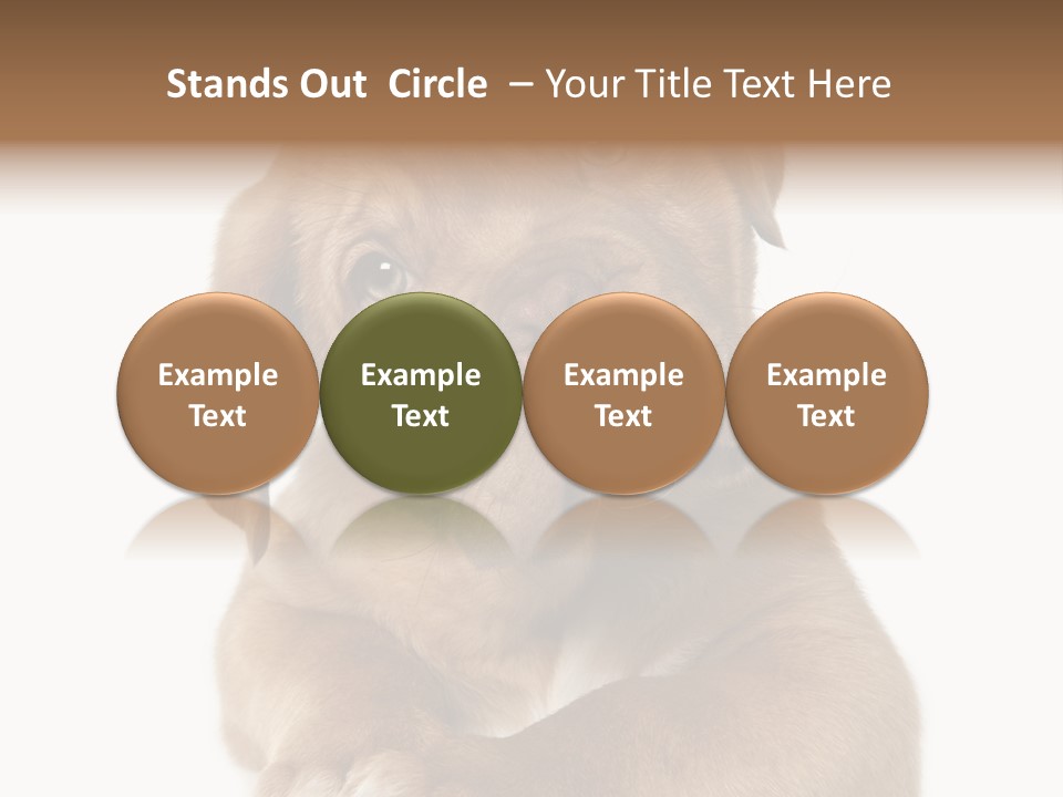 Square Image Brown Young PowerPoint Template