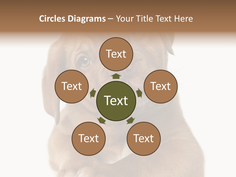 Square Image Brown Young PowerPoint Template