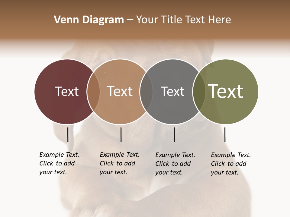 Square Image Brown Young PowerPoint Template