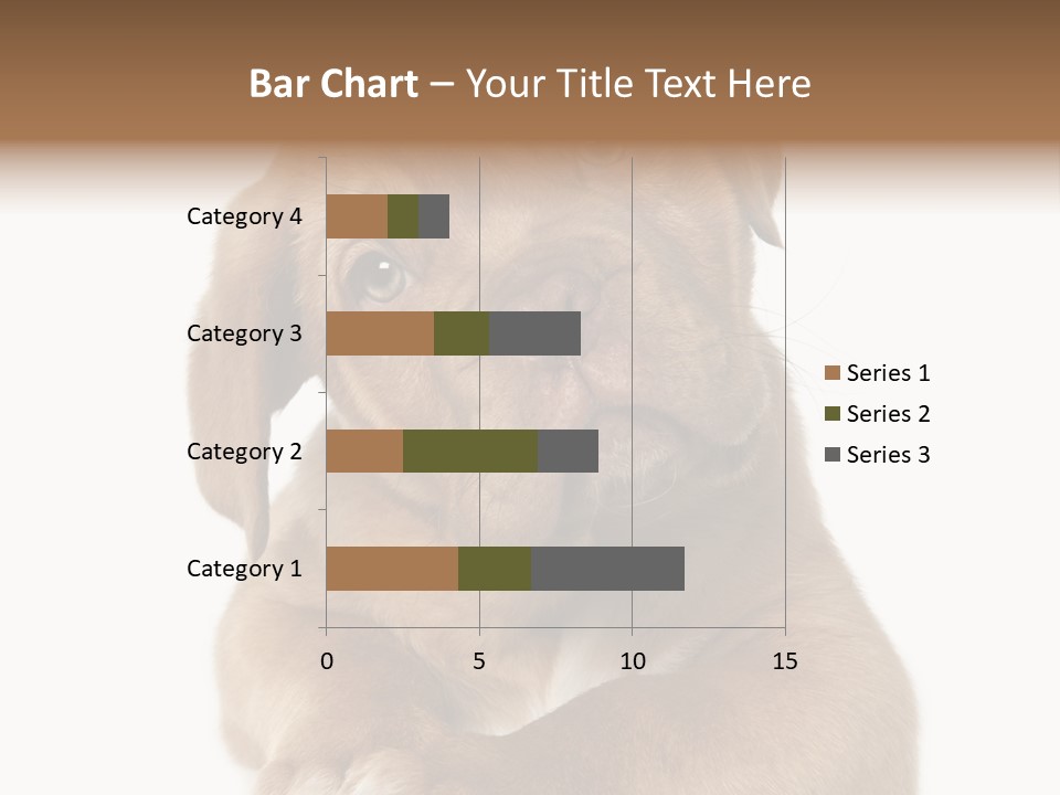 Square Image Brown Young PowerPoint Template