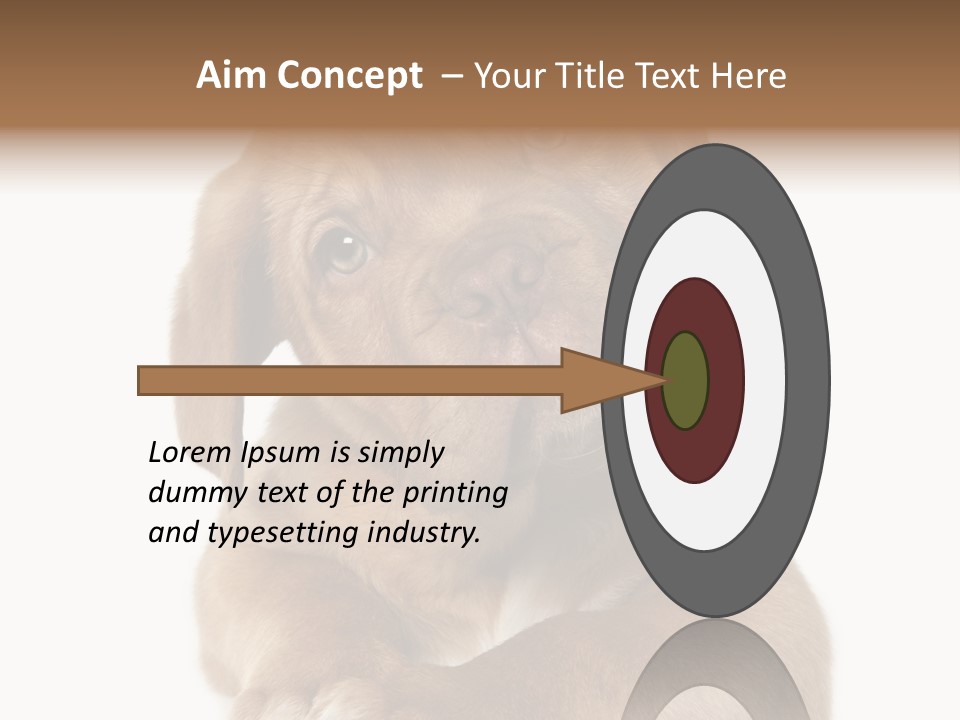 Square Image Brown Young PowerPoint Template