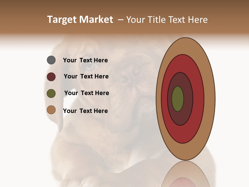 Square Image Brown Young PowerPoint Template