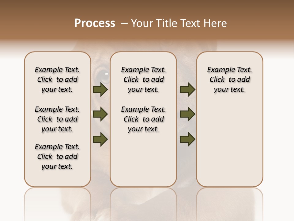Square Image Brown Young PowerPoint Template