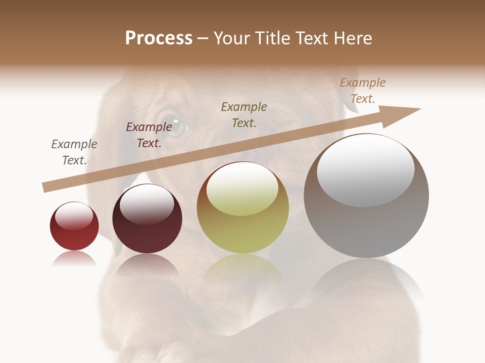 Square Image Brown Young PowerPoint Template