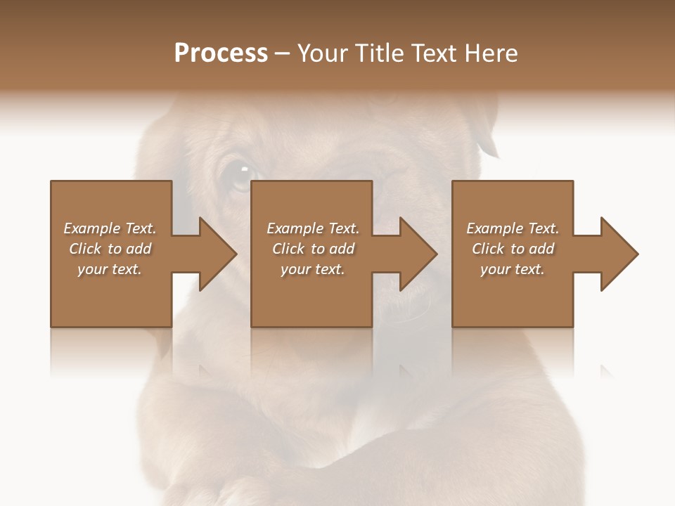 Square Image Brown Young PowerPoint Template