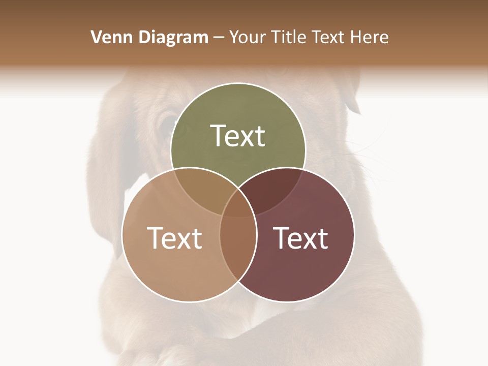 Square Image Brown Young PowerPoint Template