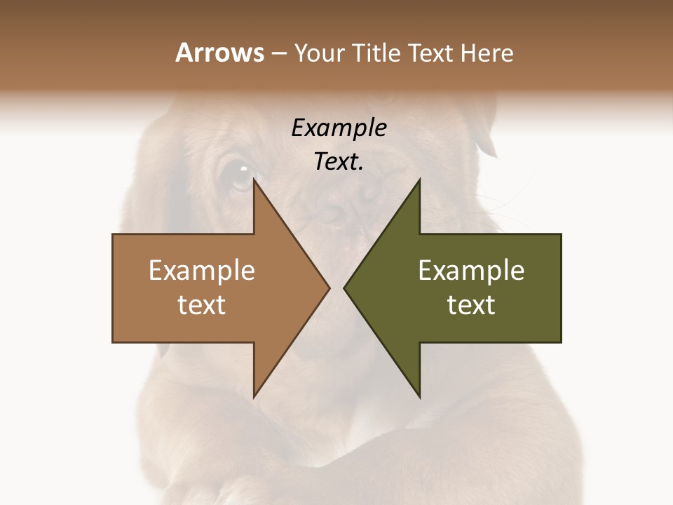 Square Image Brown Young PowerPoint Template