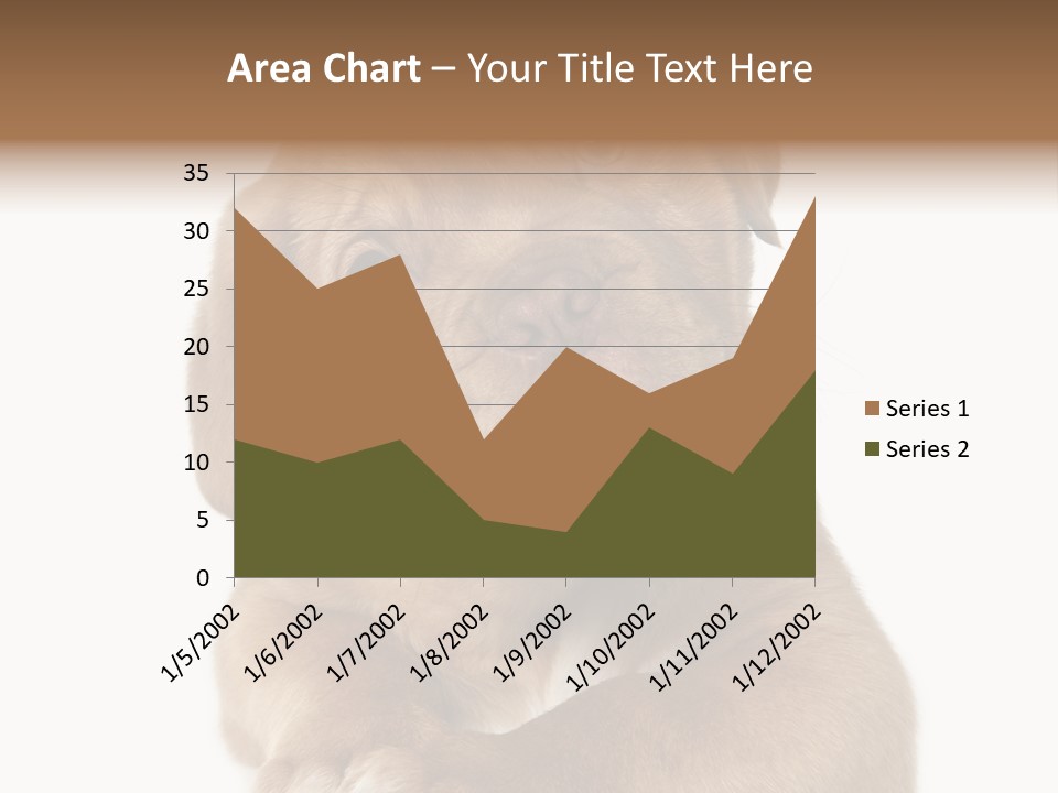 Square Image Brown Young PowerPoint Template