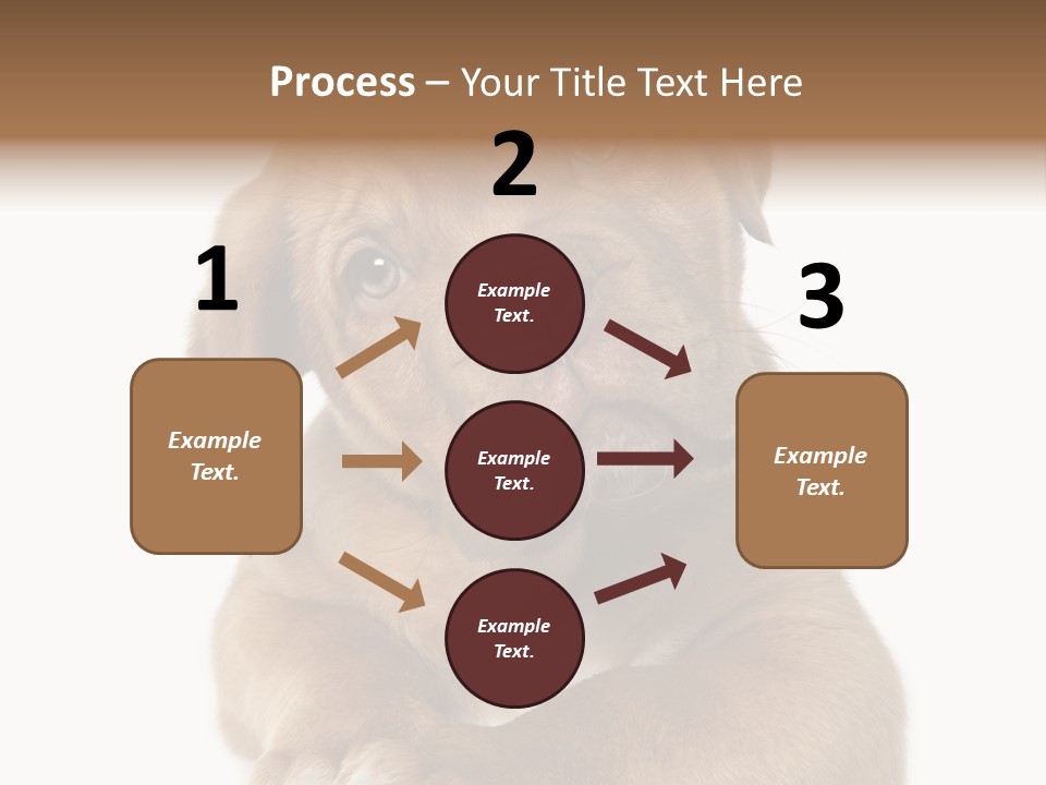 Square Image Brown Young PowerPoint Template