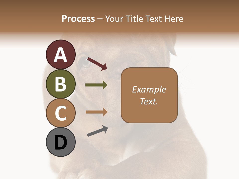 Square Image Brown Young PowerPoint Template