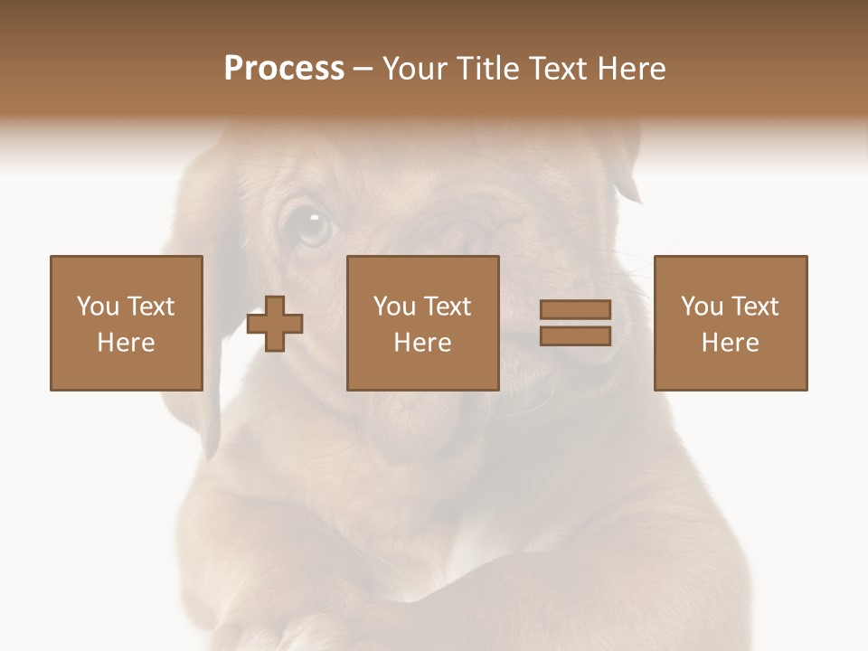 Square Image Brown Young PowerPoint Template