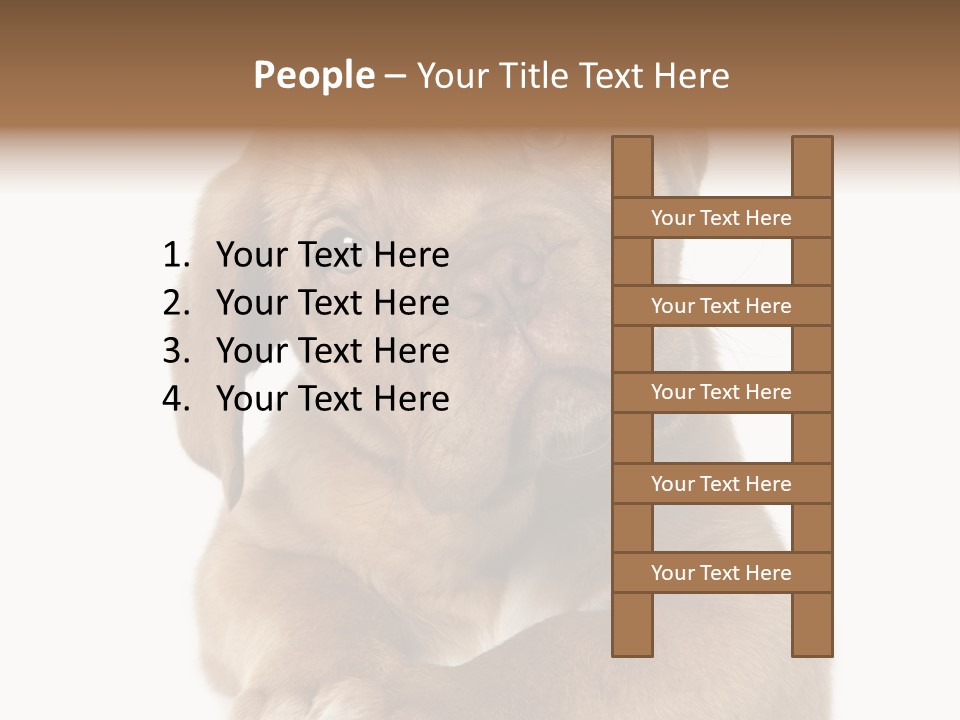 Square Image Brown Young PowerPoint Template