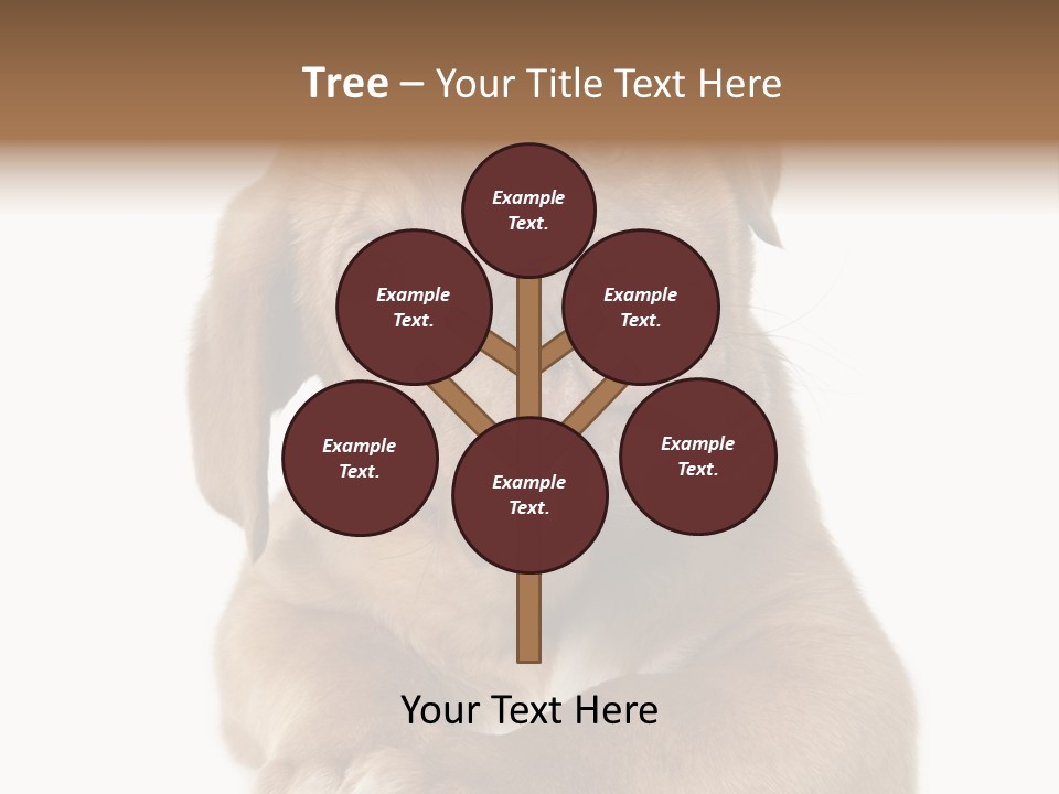 Square Image Brown Young PowerPoint Template