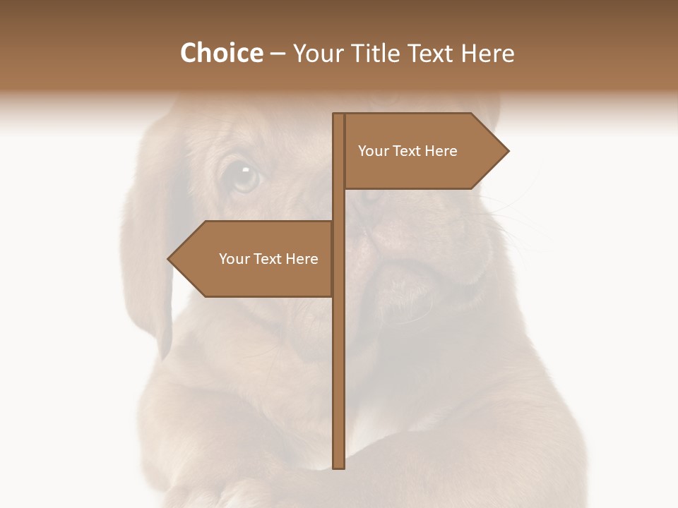 Square Image Brown Young PowerPoint Template