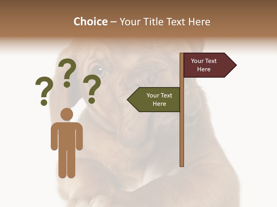 Square Image Brown Young PowerPoint Template