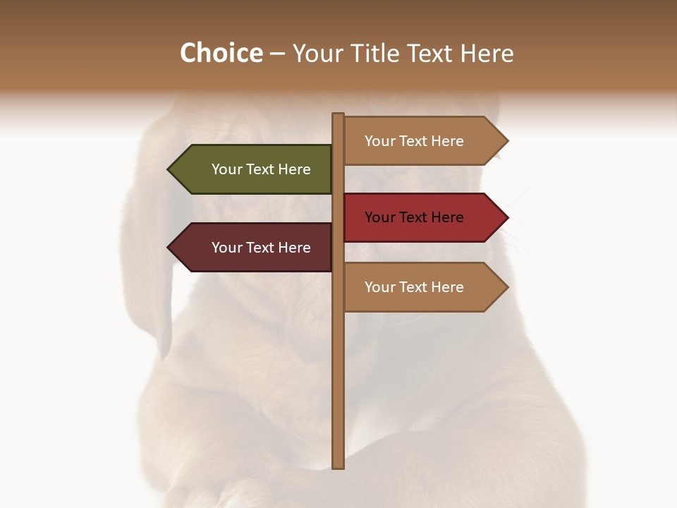 Square Image Brown Young PowerPoint Template