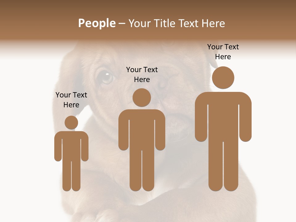 Square Image Brown Young PowerPoint Template