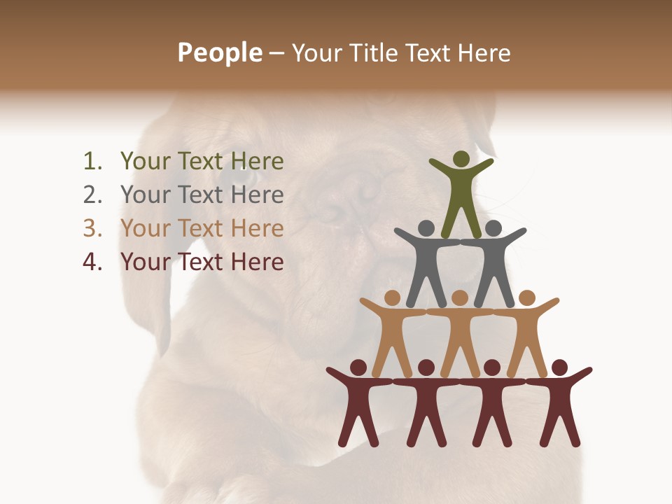 Square Image Brown Young PowerPoint Template