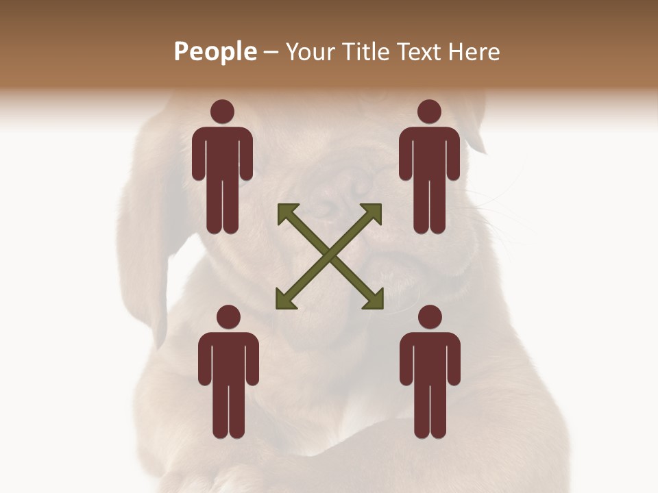 Square Image Brown Young PowerPoint Template