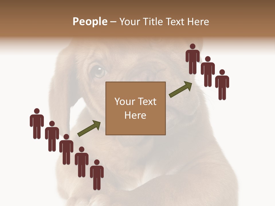 Square Image Brown Young PowerPoint Template