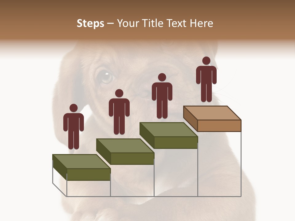 Square Image Brown Young PowerPoint Template