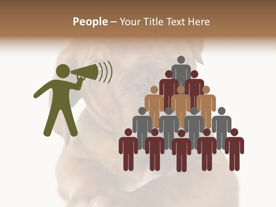 Square Image Brown Young PowerPoint Template