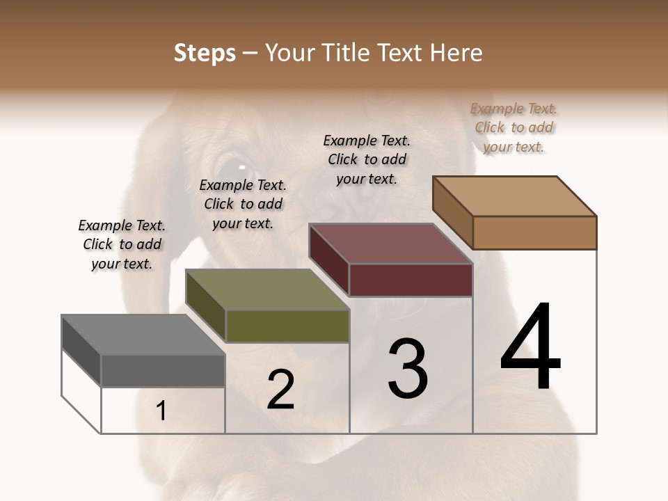 Square Image Brown Young PowerPoint Template