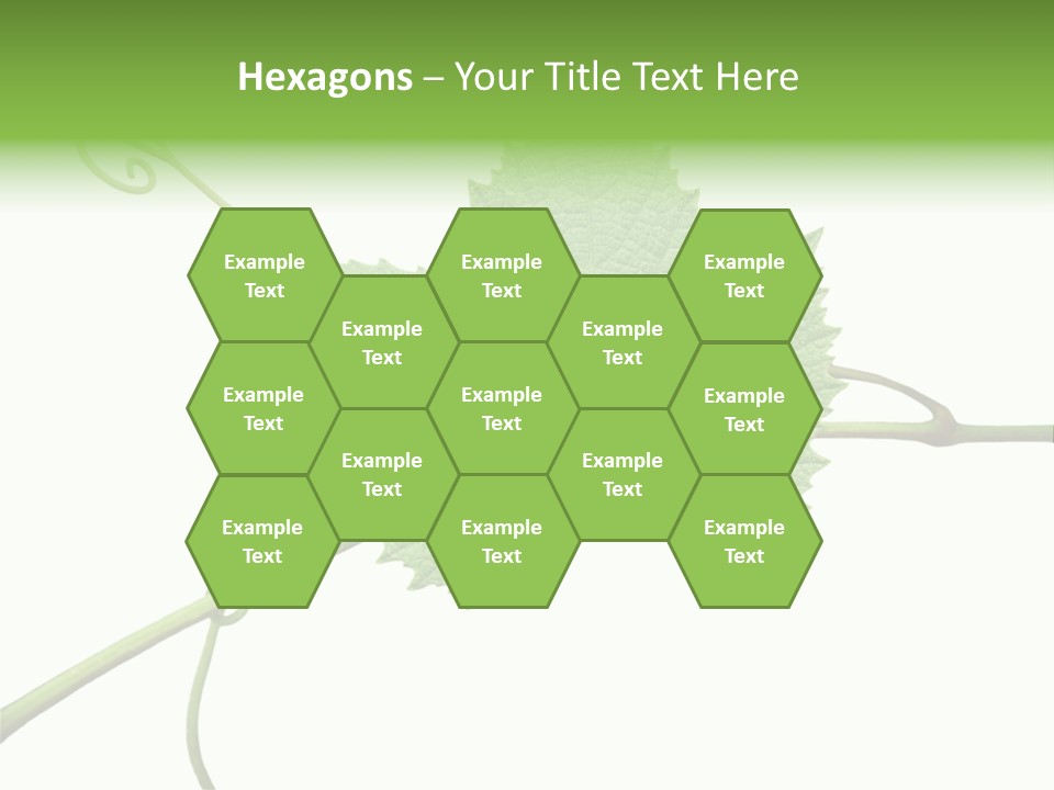 Green Isolation Grapes PowerPoint Template