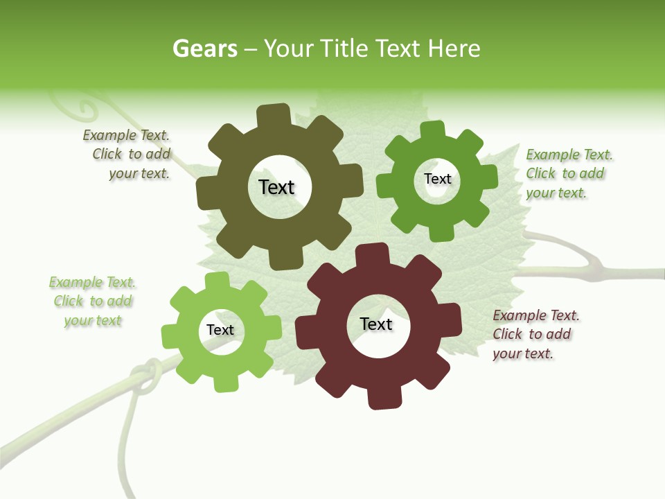 Green Isolation Grapes PowerPoint Template