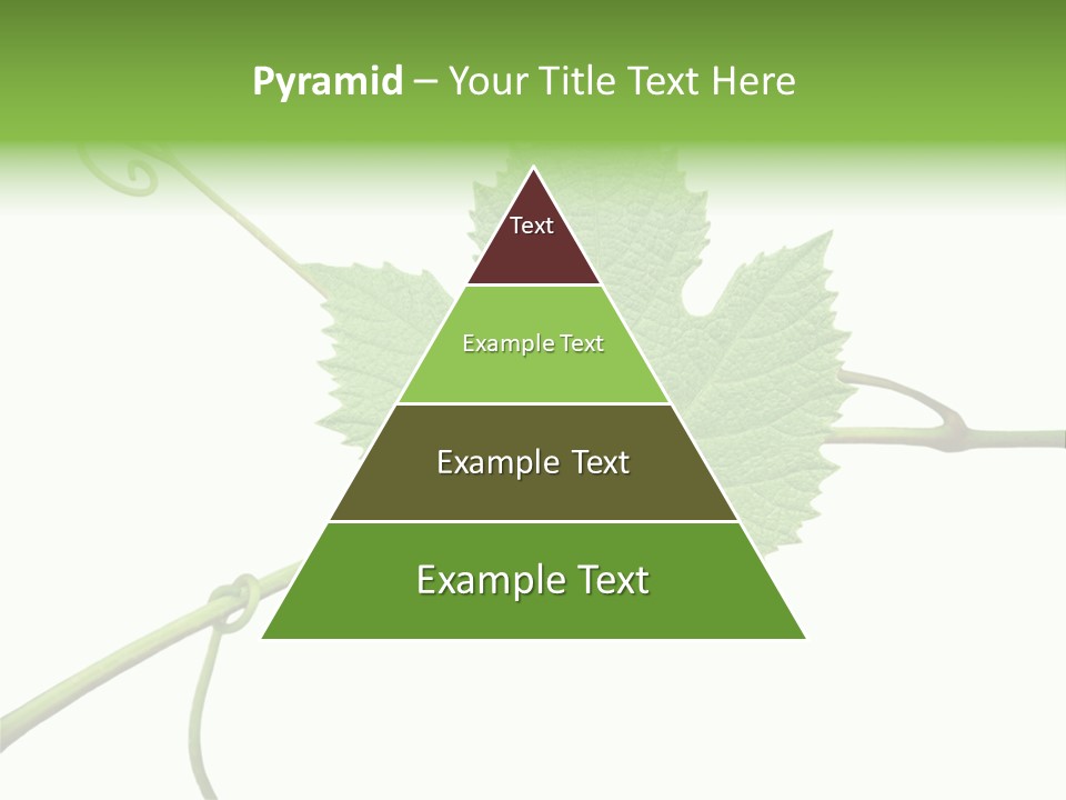 Green Isolation Grapes PowerPoint Template