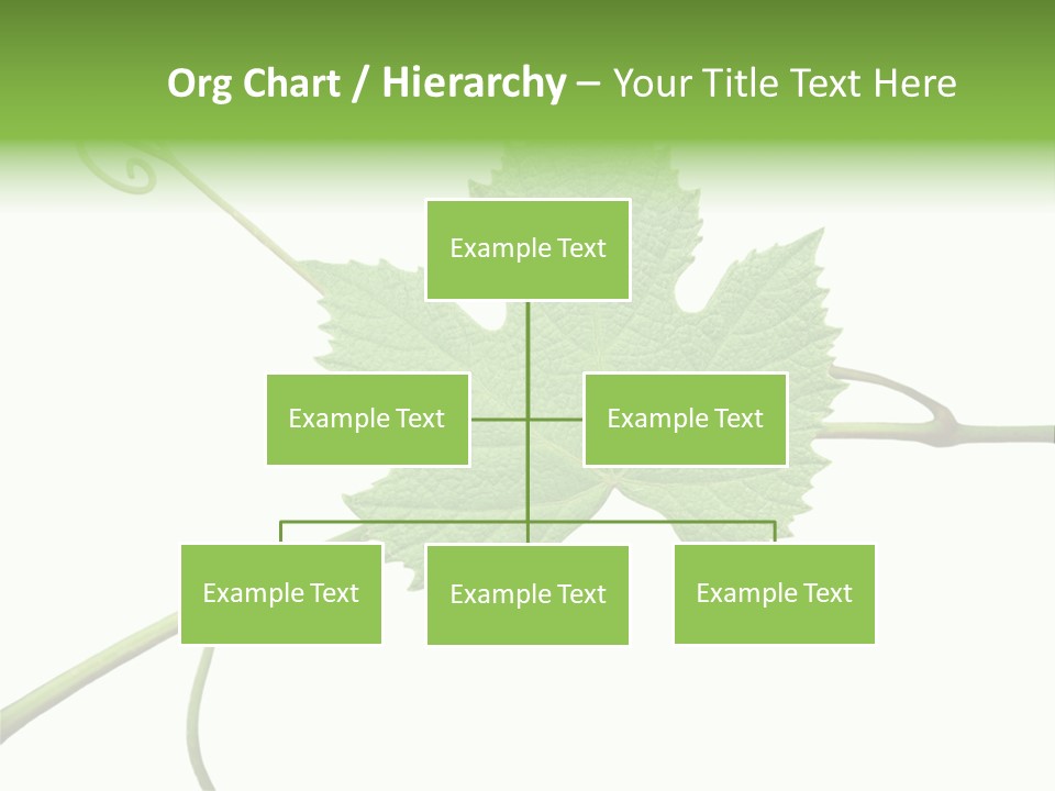 Green Isolation Grapes PowerPoint Template