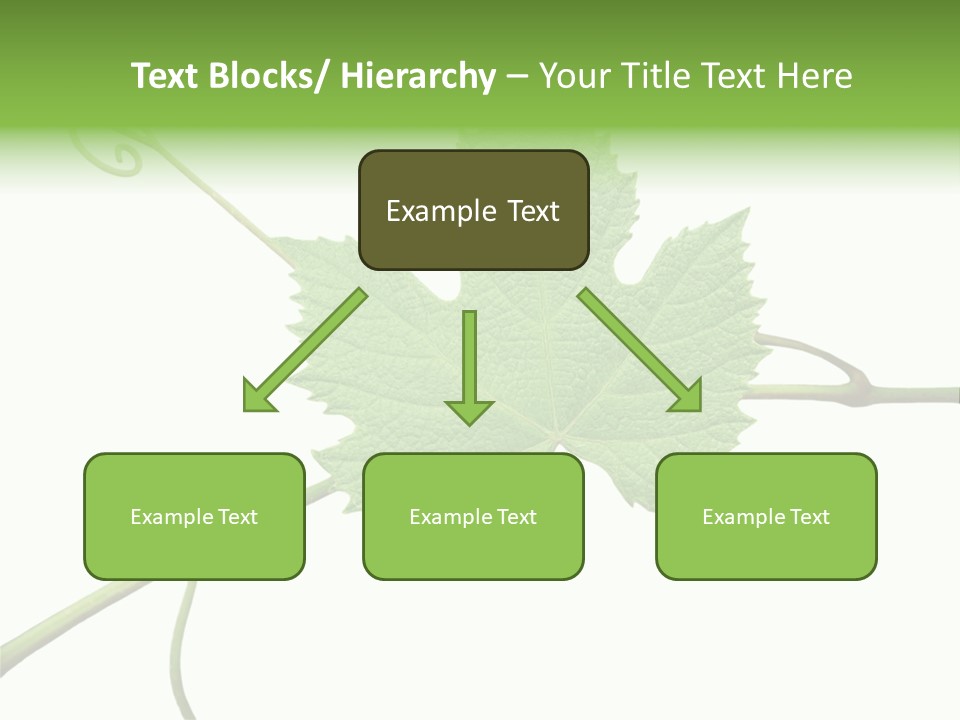 Green Isolation Grapes PowerPoint Template