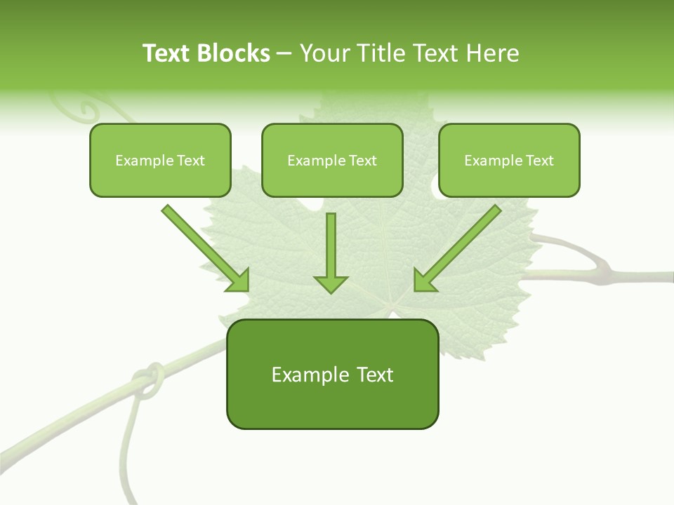 Green Isolation Grapes PowerPoint Template