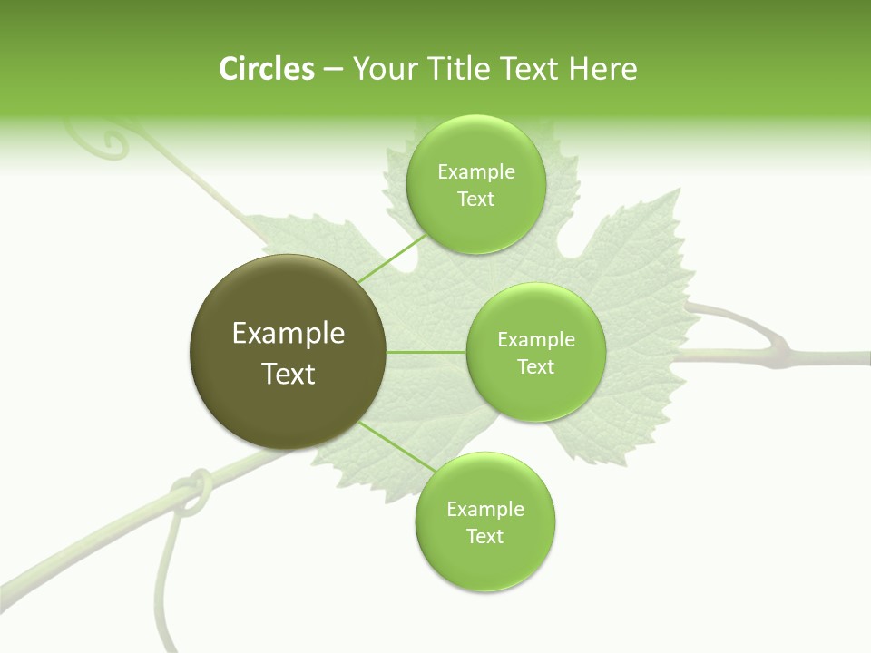 Green Isolation Grapes PowerPoint Template
