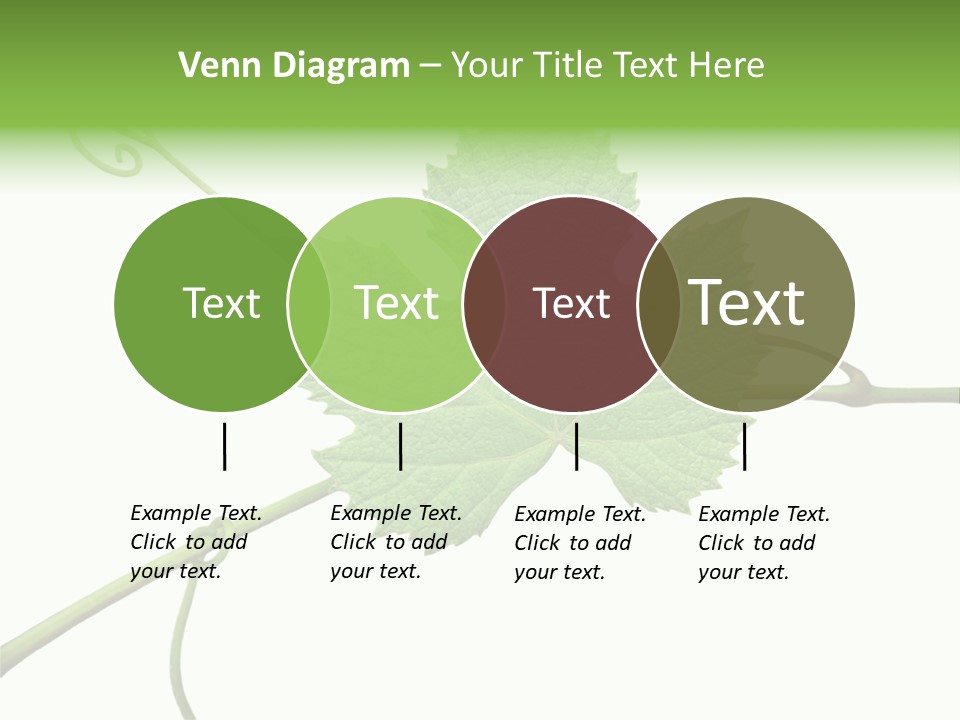 Green Isolation Grapes PowerPoint Template