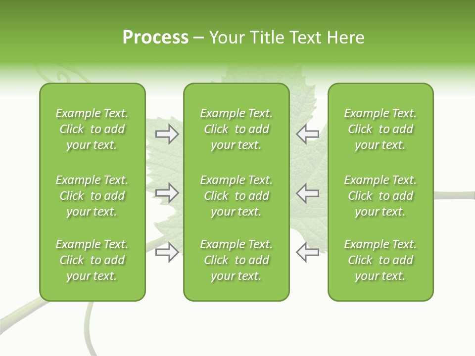 Green Isolation Grapes PowerPoint Template