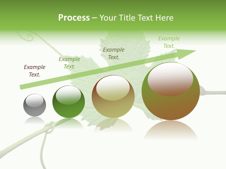 Green Isolation Grapes PowerPoint Template