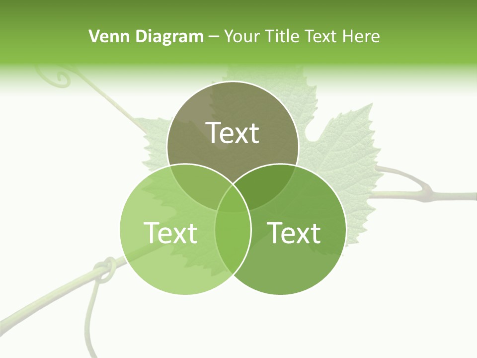 Green Isolation Grapes PowerPoint Template