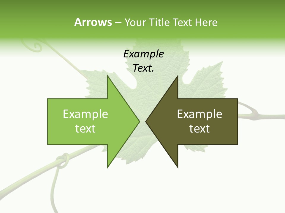 Green Isolation Grapes PowerPoint Template