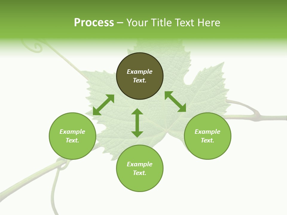 Green Isolation Grapes PowerPoint Template