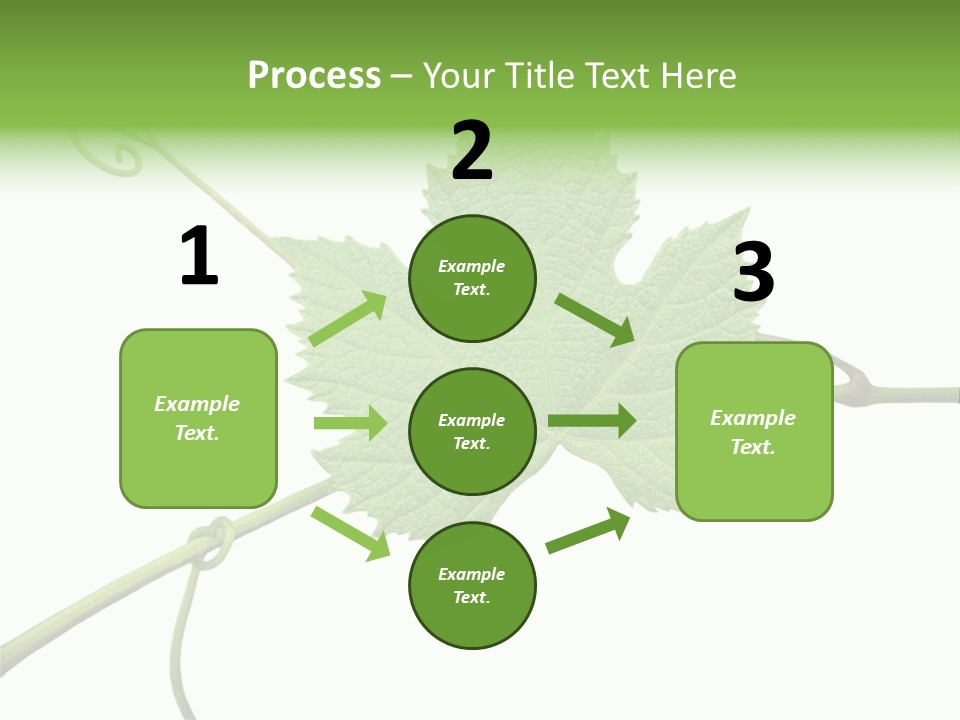 Green Isolation Grapes PowerPoint Template