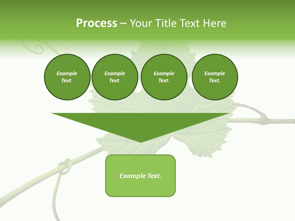 Green Isolation Grapes PowerPoint Template