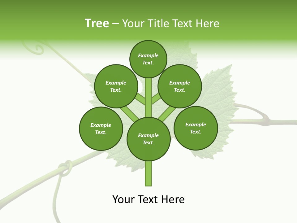 Green Isolation Grapes PowerPoint Template