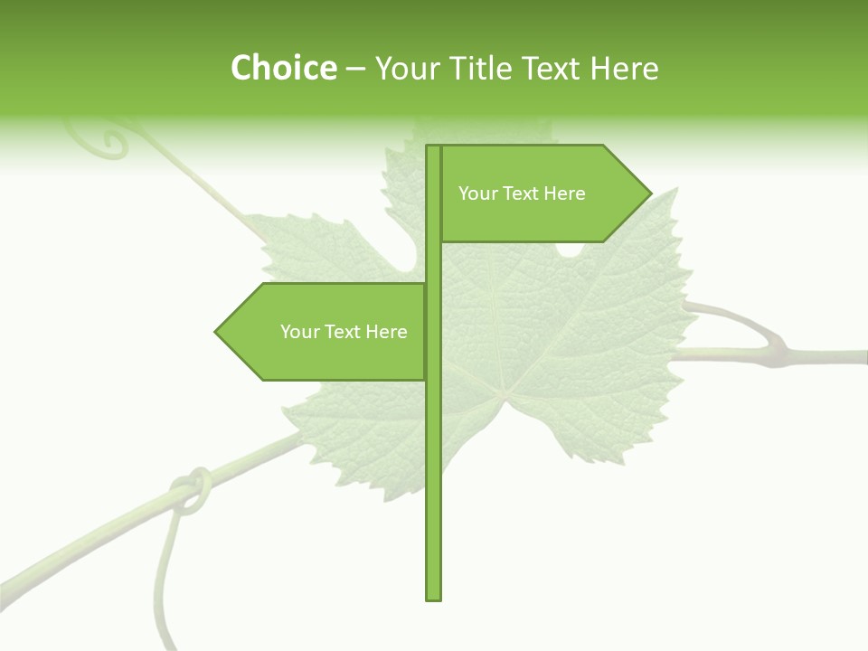 Green Isolation Grapes PowerPoint Template