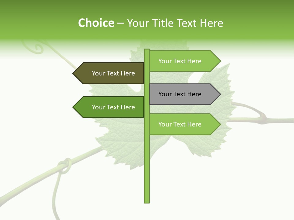 Green Isolation Grapes PowerPoint Template