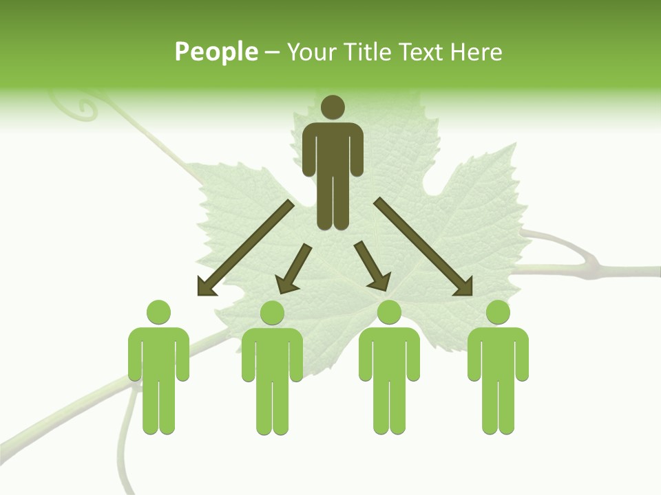 Green Isolation Grapes PowerPoint Template