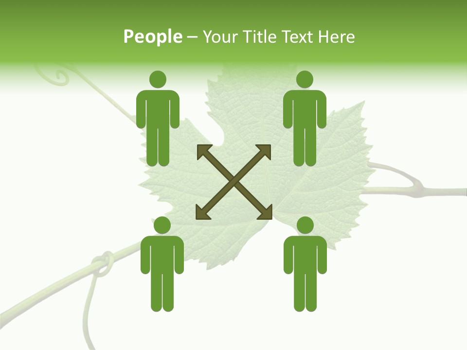 Green Isolation Grapes PowerPoint Template